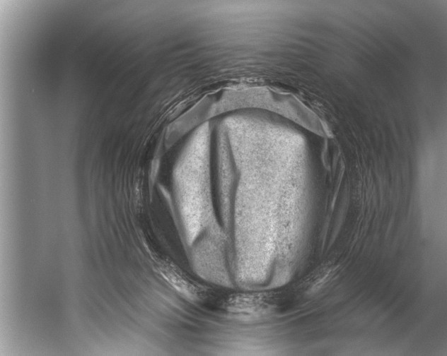 X0000057080084200510010211