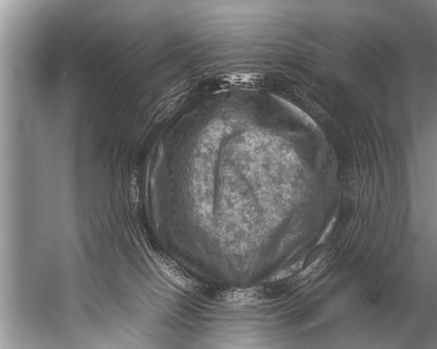 X0000057080086200510010211