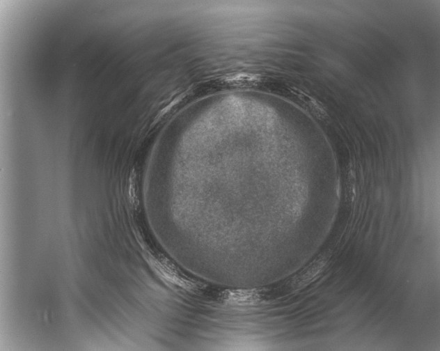 X0000057080088200510010211