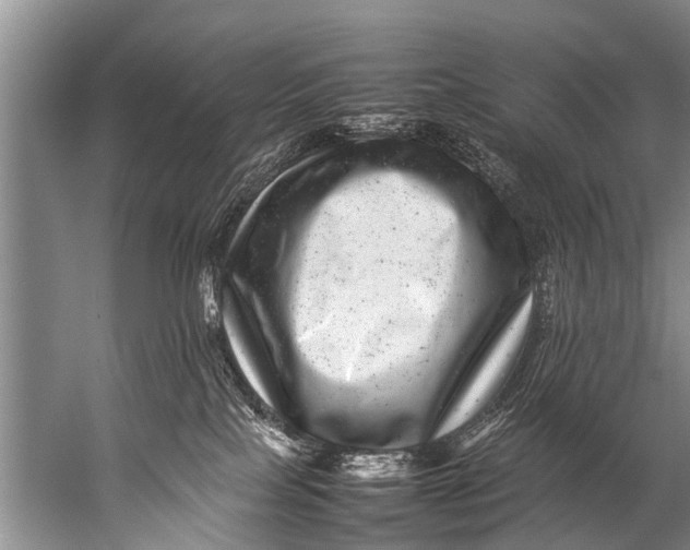 X0000057080089200510010211