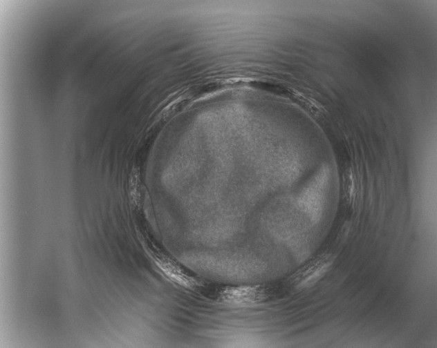 X0000057080092200510010211