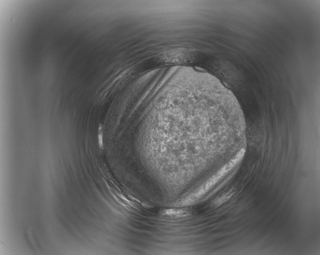 X0000057080095200510010211