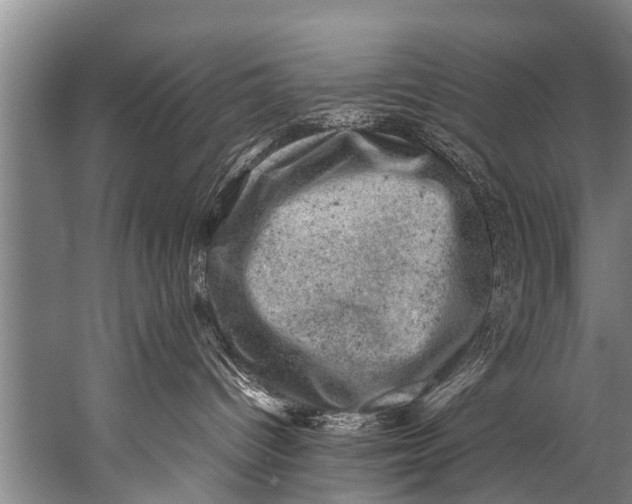 X0000057080096200510010211