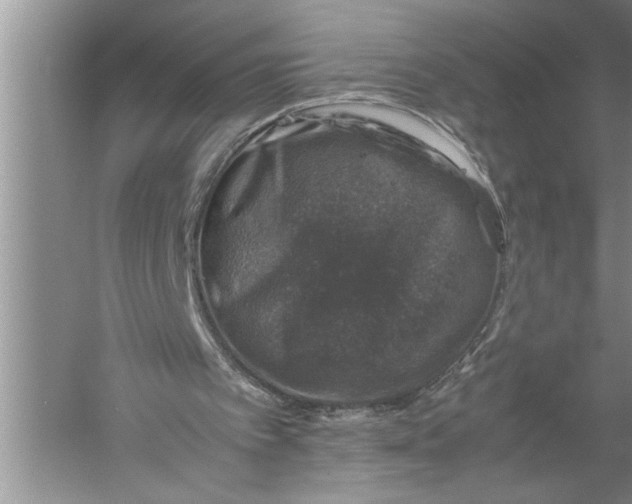 X0000057080097200510010210