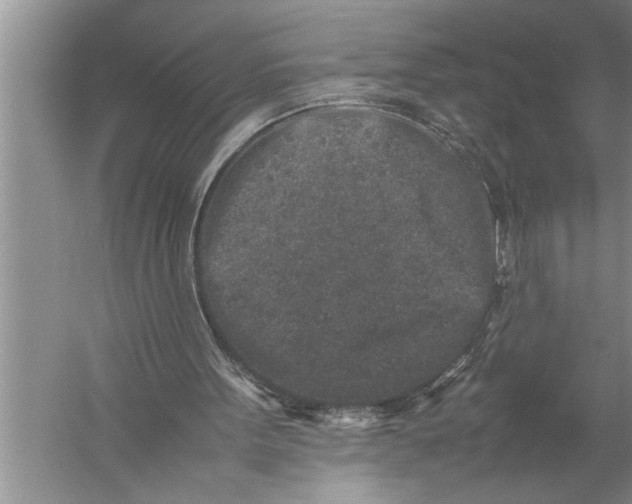 X0000057080099200510010210