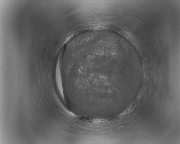 X0000057080105200510010210