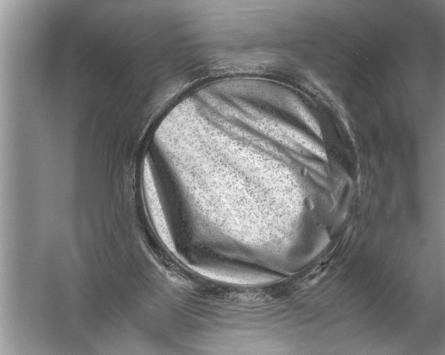 X0000057080107200510010210