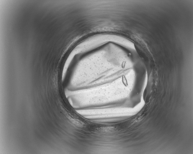 X0000057080108200510010210