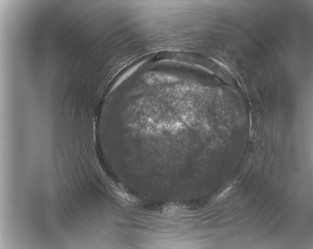 X0000057080109200510010210