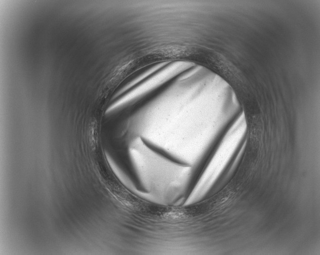 X0000057080119200510010210