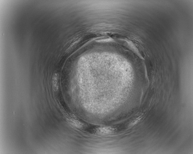 X0000057080121200510010210