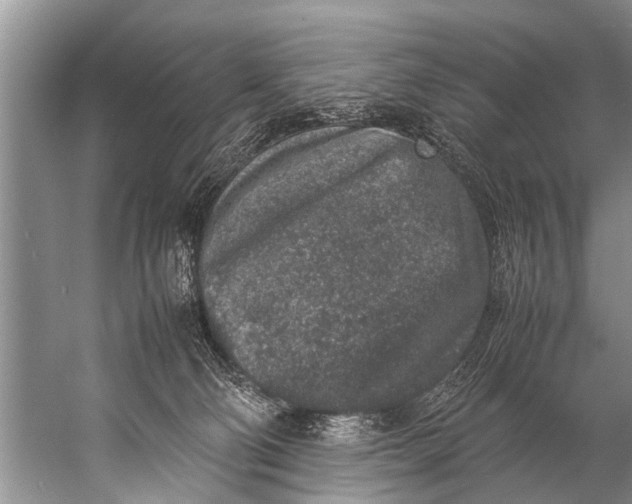 X0000057080130200510010209