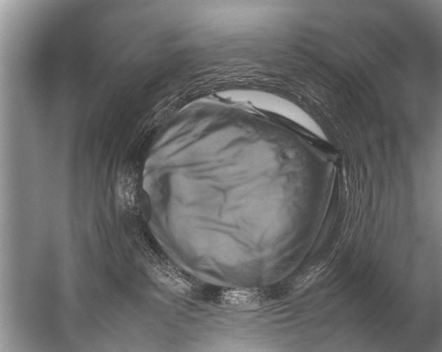 X0000057080139200510010209