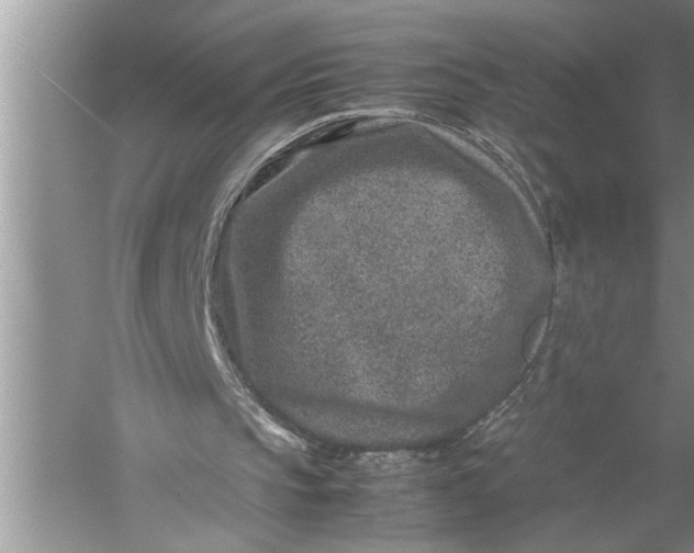 X0000057080145200510010208