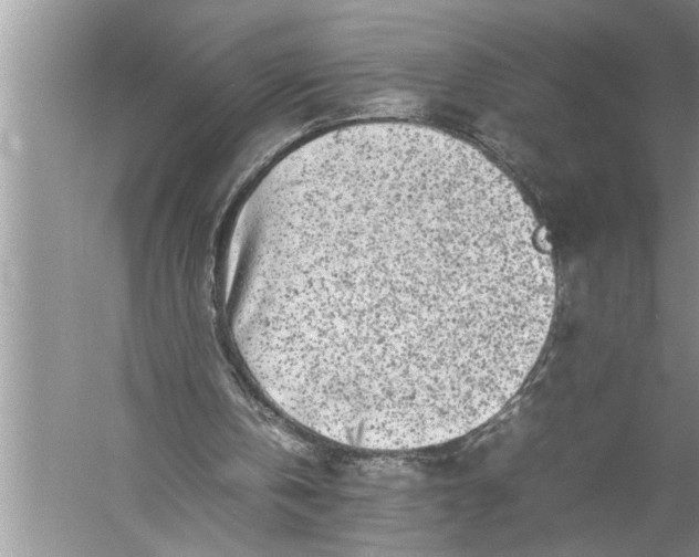 X0000057080146200510010208