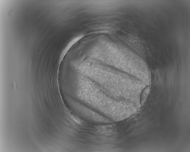 X0000057080147200510010208