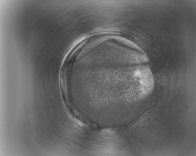 X0000057080148200510010208