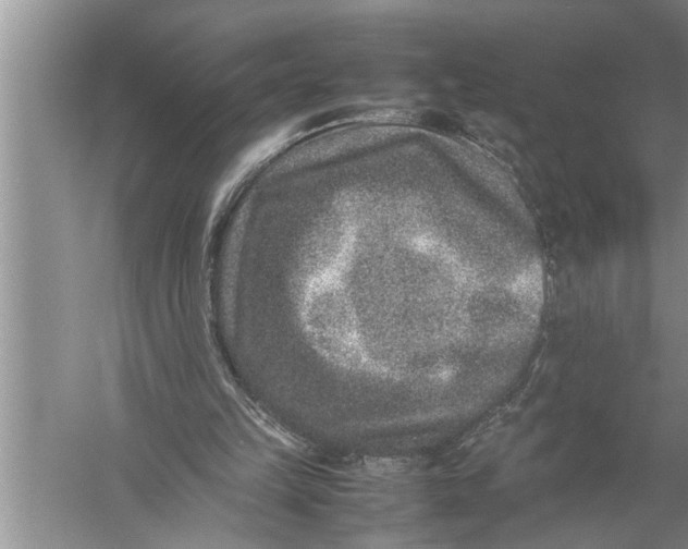 X0000057080149200510010208