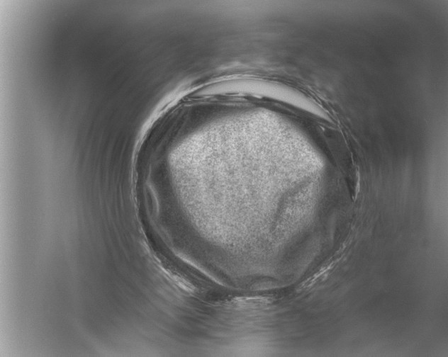 X0000057080150200510010208