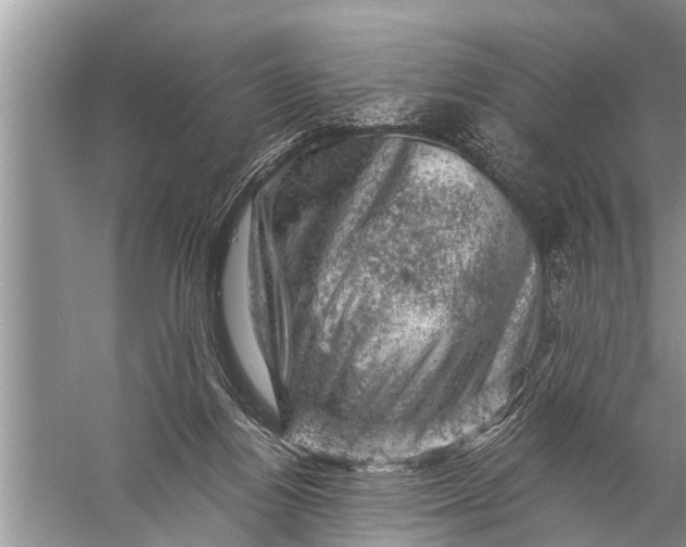 X0000057080164200510010209