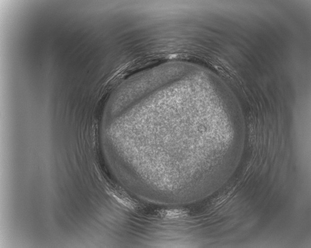 X0000057080165200510010209