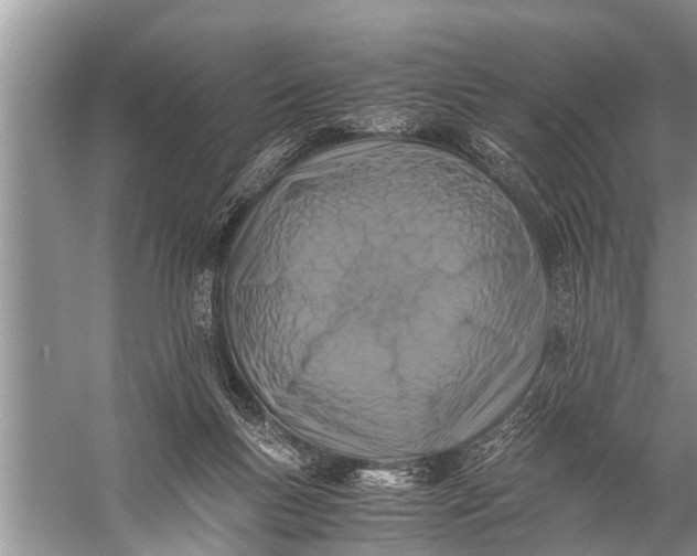 X0000057080167200510010209