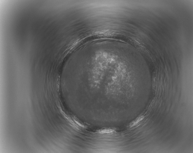 X0000057080168200510010209