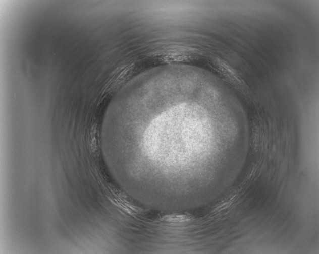 X0000057080169200510010209