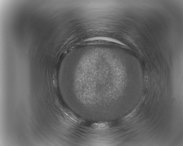 X0000057080170200510010209