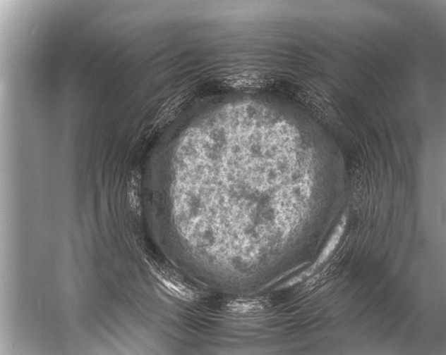 X0000057080175200510010209