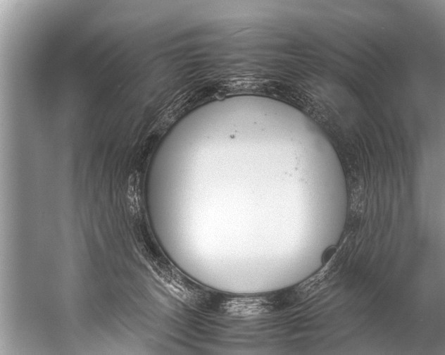 X0000057080179200510010209