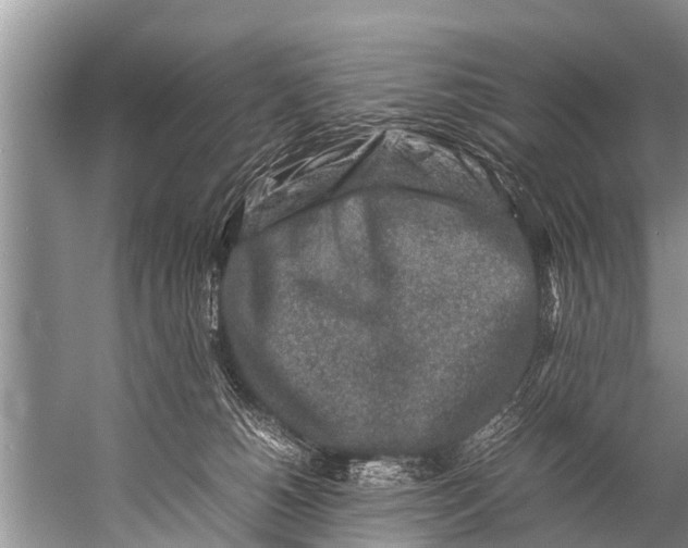 X0000057080180200510010209