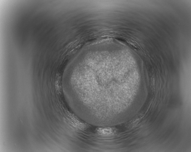 X0000057080181200510010209