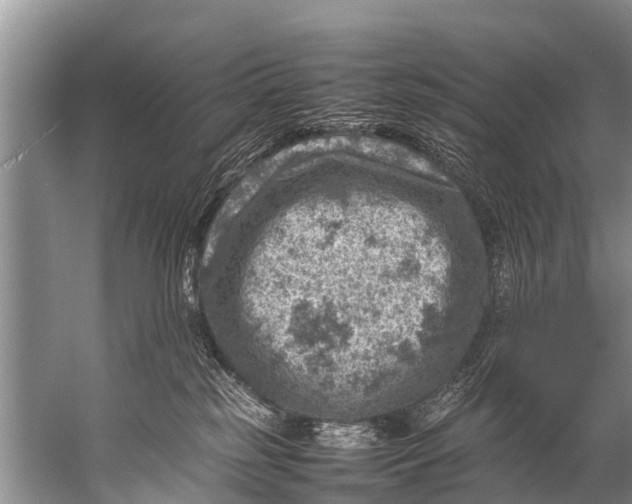 X0000057080185200510010209