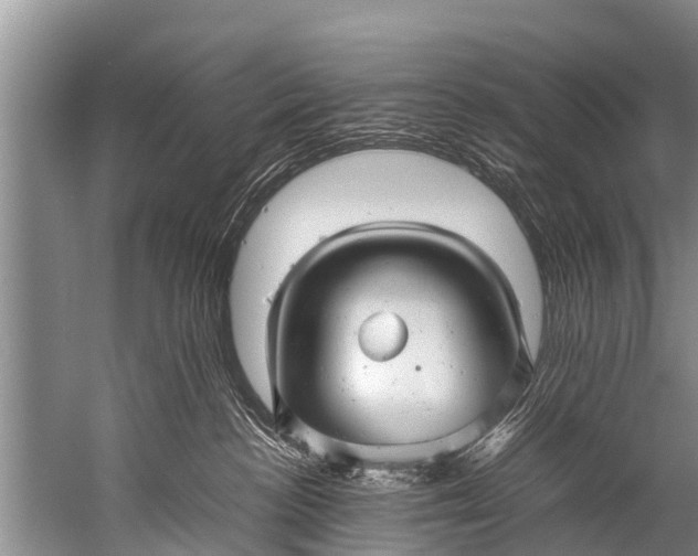 X0000057080188200510010209