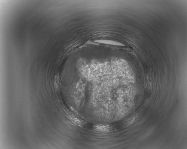 X0000057080189200510010209