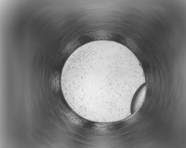 X0000057080190200510010209