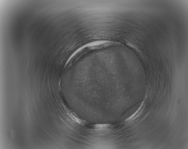 X0000057080192200510010209