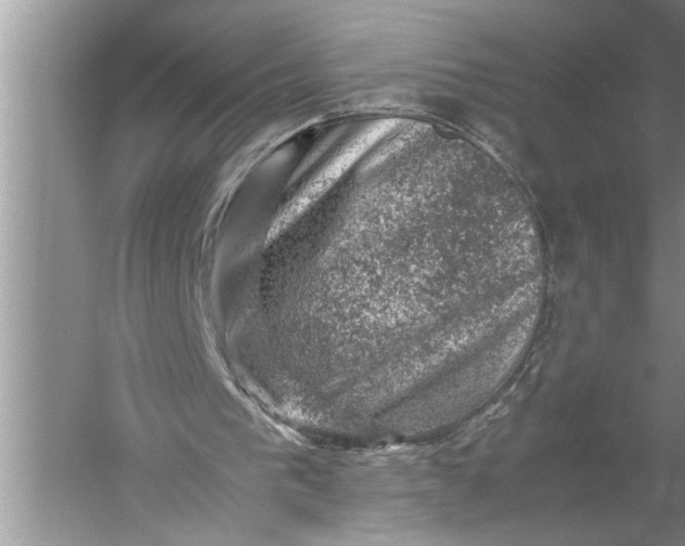 X0000057080193200510010208