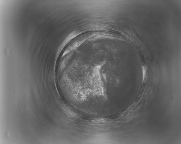 X0000057080195200510010208