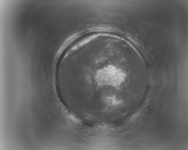 X0000057080199200510010208