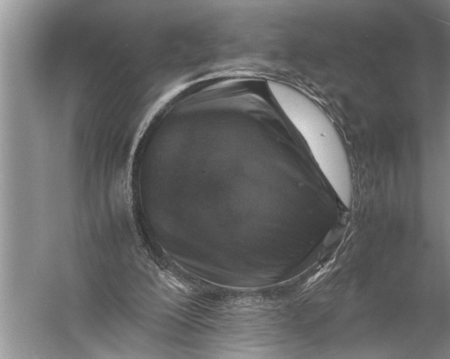 X0000057080200200510010208