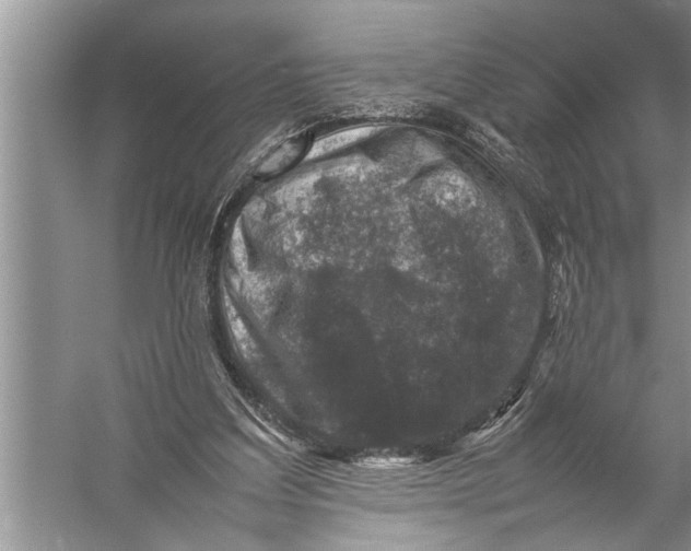 X0000057080203200510010208