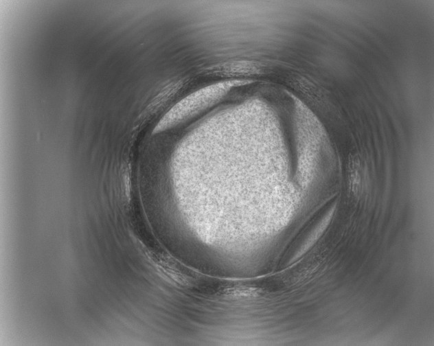 X0000057080206200510010208