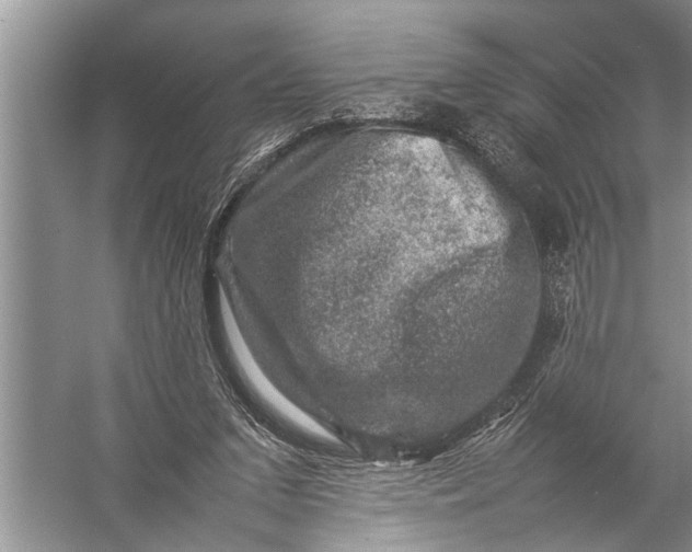 X0000057080207200510010208