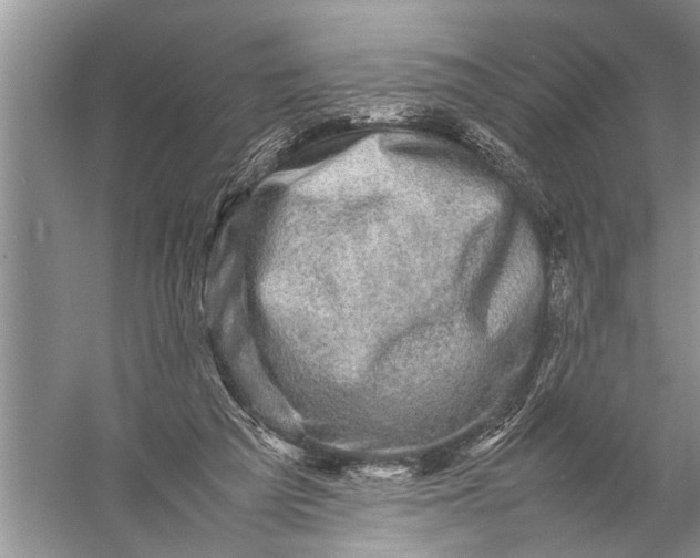 X0000057080209200510010208