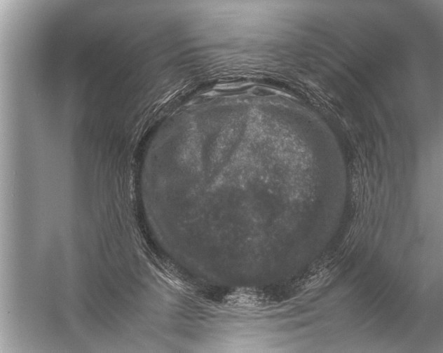 X0000057080211200510010208