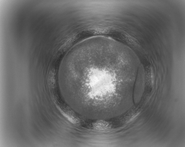 X0000057080215200510010208