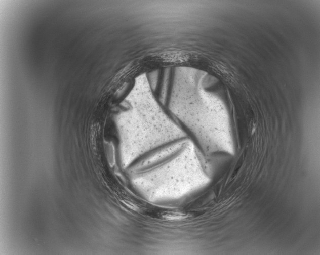 X0000057080229200510010208