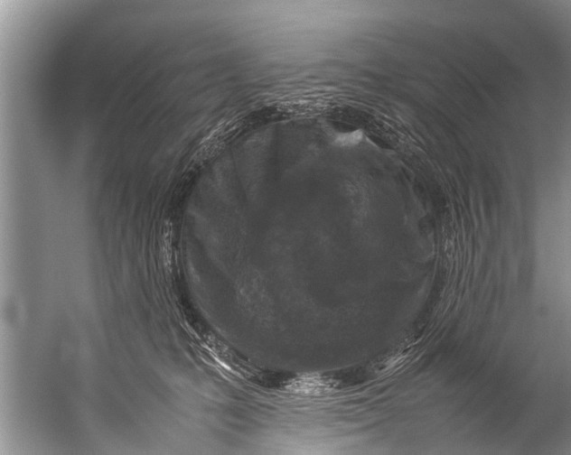 X0000057080231200510010208